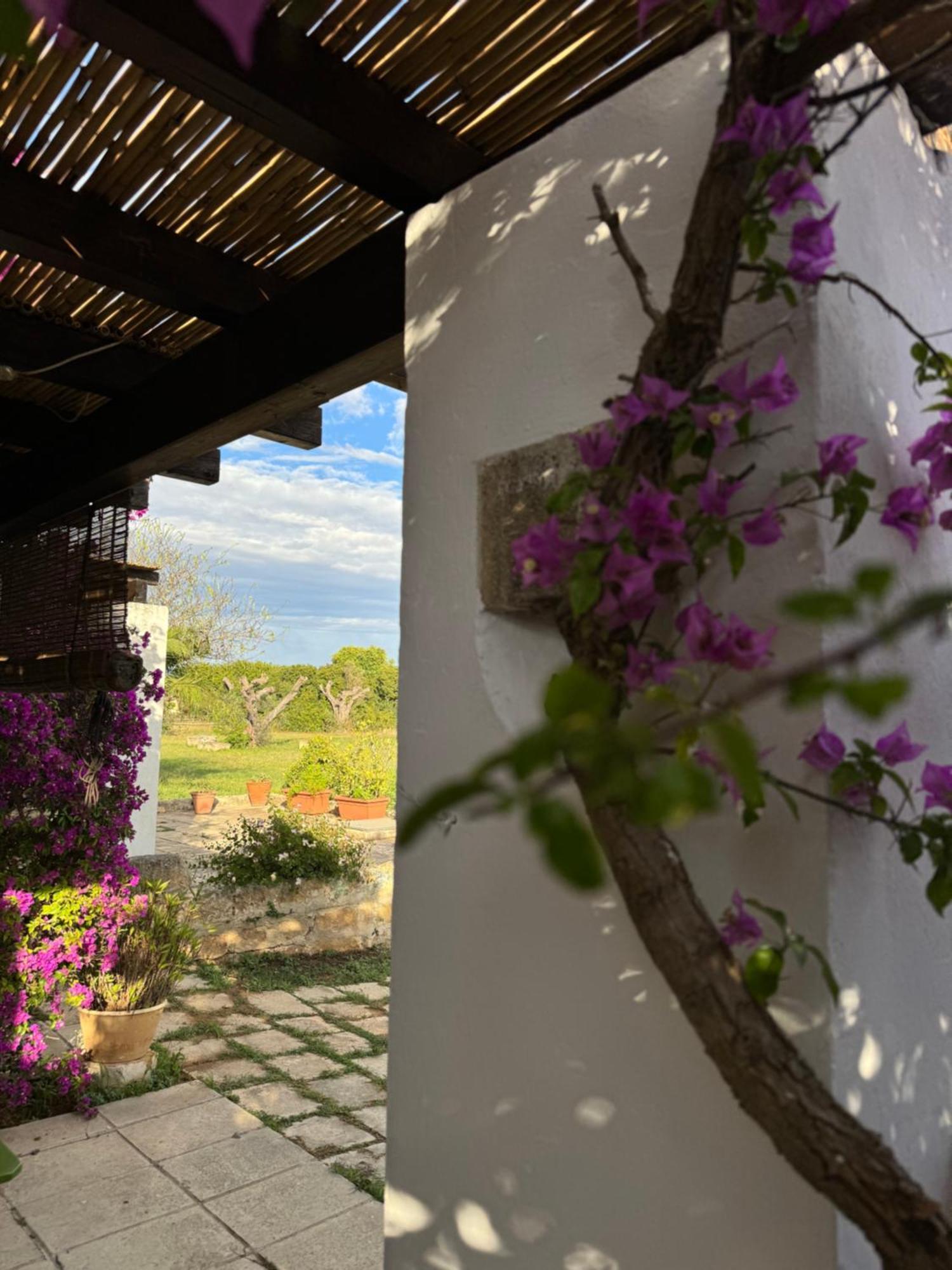 Masseria Mosca Apartment Sannicola Exterior photo